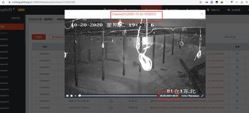 黑天鹅内鬼爆料视频播放,揭秘神秘内鬼爆料视频背后的真相 第1张 黑天鹅内鬼爆料视频播放,揭秘神秘内鬼爆料视频背后的真相 第1张